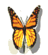 buom.gif (8949 bytes)
